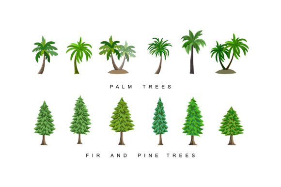 Collection of Pine, Fir, Spruce and Palm: A Versatile Design Resource for Modern Creatives